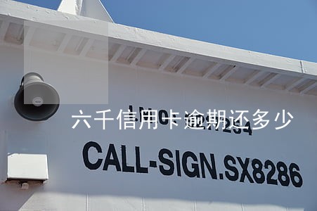 六千信用卡逾期还多少 六千信用卡逾期还多少