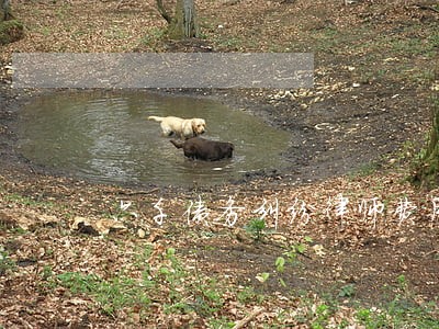 六千债务纠纷律师费用 六千债务纠纷律师费用
