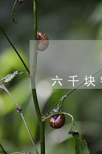 六千块钱信用卡逾期会被判刑吗 六千块钱信用卡逾期会被判刑吗