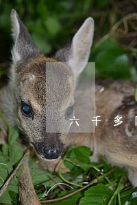 六千多网贷逾期的后果 六千多网贷逾期的后果