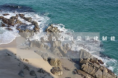 六名被告分别受法律制裁