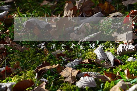 六安债务专业律师免费咨询 六安债务专业律师免费咨询
