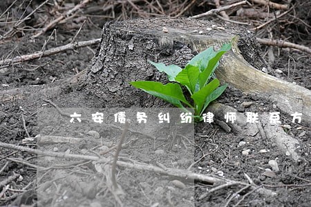 六安债务纠纷律师联系方式 六安债务纠纷律师联系方式