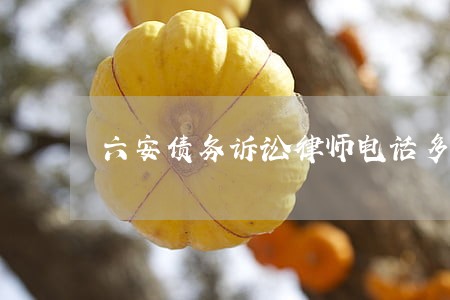六安债务诉讼律师电话多少 六安债务诉讼律师电话多少