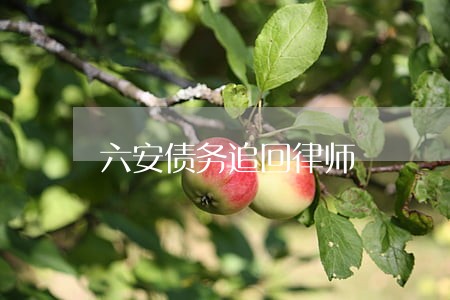 六安债务追回律师 六安债务追回律师