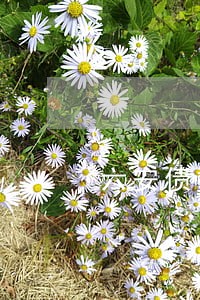 六安债权债务律师在线咨询 六安债权债务律师在线咨询