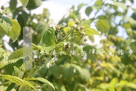 六安债权债务律师电话多少 六安债权债务律师电话多少