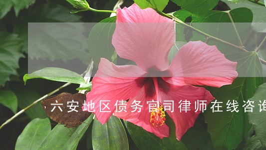 六安地区债务官司律师在线咨询 六安地区债务官司律师在线咨询