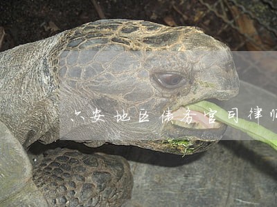 六安地区债务官司律师服务 六安地区债务官司律师服务