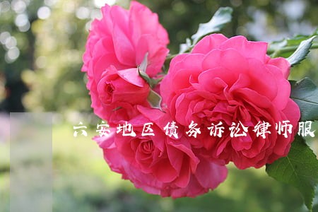 六安地区债务诉讼律师服务