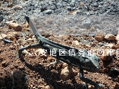 六安地区债务追回律师联系方式 六安地区债务追回律师联系方式