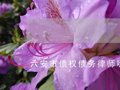 六安市债权债务律师哪里找 六安市债权债务律师哪里找