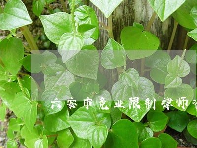 六安市竞业限制律师咨询平台 六安市竞业限制律师咨询平台