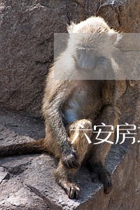 六安房地产律师咨询 六安房地产律师咨询