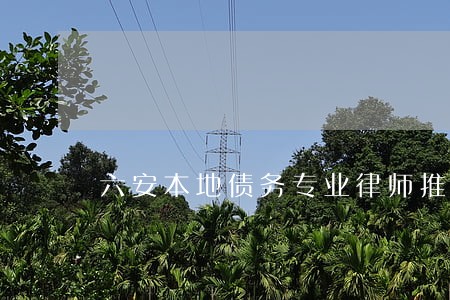 六安本地债务专业律师推荐 六安本地债务专业律师推荐