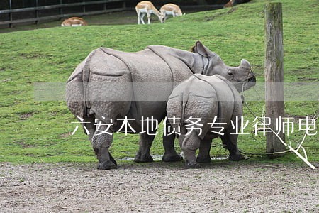 六安本地债务专业律师电话 六安本地债务专业律师电话