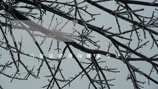 六安法律咨询哪家专业 六安法律咨询哪家专业
