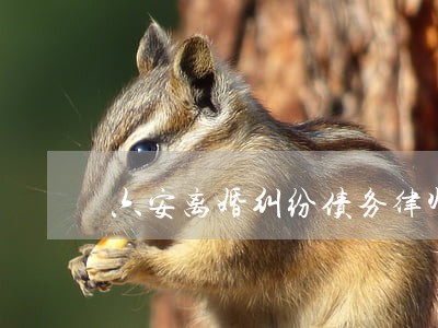 六安离婚纠纷债务律师 六安离婚纠纷债务律师