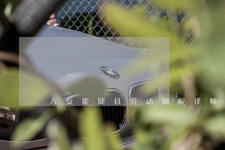 六安霍邱县劳动调解律师多少钱
