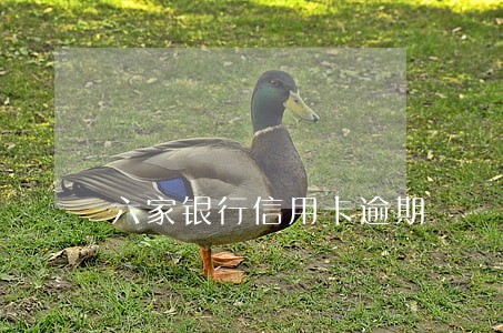 六家银行信用卡逾期 六家银行信用卡逾期
