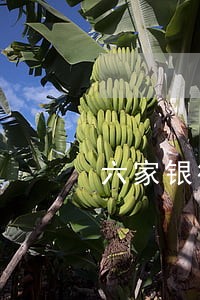 六家银行信用卡逾期怎么处理