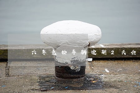 六年免检车辆逾期2天会罚款吗