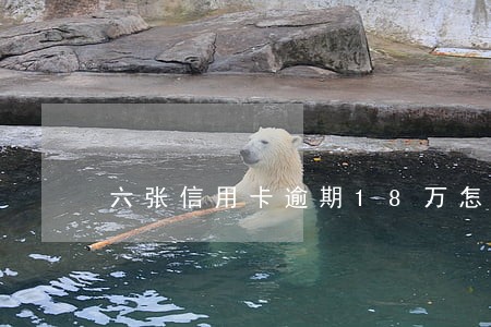 六张信用卡逾期18万怎么办 六张信用卡逾期18万怎么办