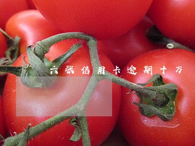 六张信用卡逾期十万 六张信用卡逾期十万