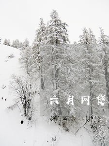 六月网贷逾期名单 六月网贷逾期名单