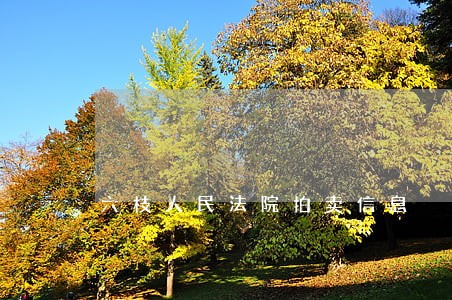 六枝人民法院拍卖信息