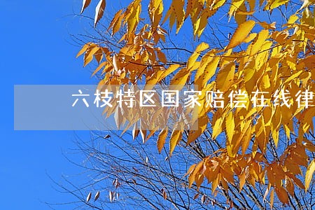 六枝特区国家赔偿在线律师 六枝特区国家赔偿在线律师