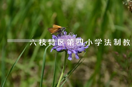 六枝特区第四小学法制教育效果佳 六枝特区第四小学法制教育效果佳