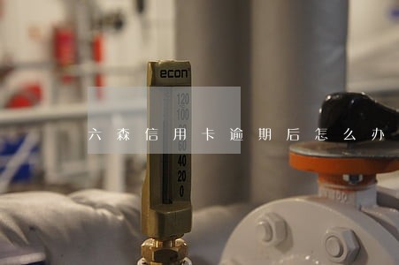 六森信用卡逾期后怎么办