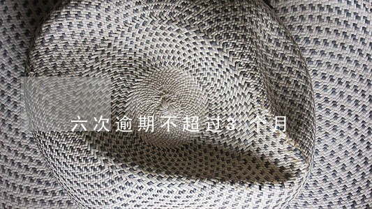 六次逾期不超过3个月 六次逾期不超过3个月