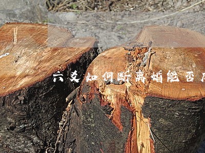 六爻如何断离婚能否成功 六爻如何断离婚能否成功