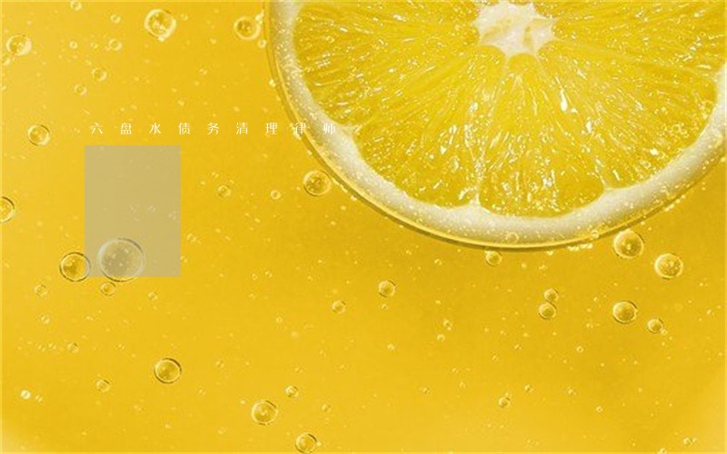 六盘水债务清理律师 六盘水债务清理律师