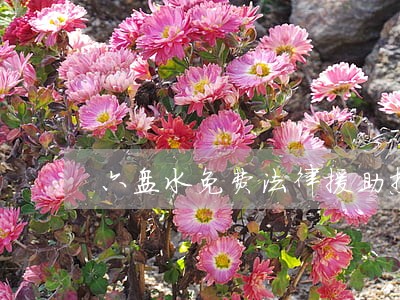 六盘水免费法律援助热线 六盘水免费法律援助热线