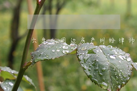 六盘水周边房产纠纷律师 六盘水周边房产纠纷律师