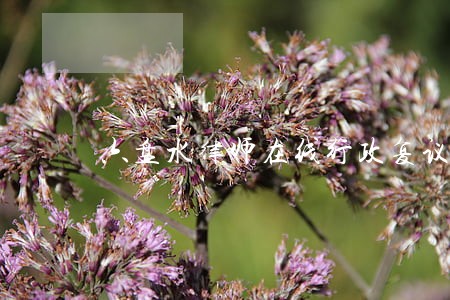 六盘水律师在线行政复议咨询
