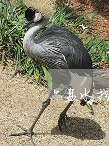 六盘水找盗窃罪律师预约电话 六盘水找盗窃罪律师预约电话