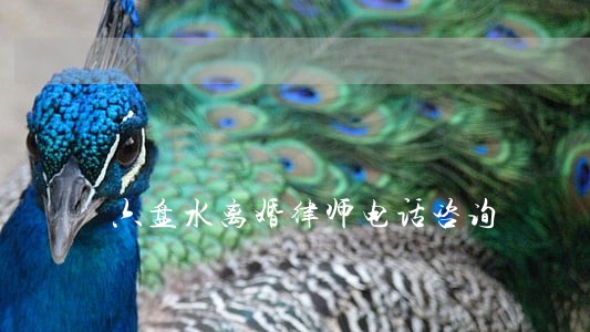 六盘水离婚律师电话咨询 六盘水离婚律师电话咨询