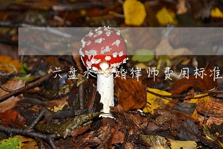 六盘水离婚律师费用标准