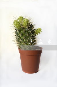 六盘水租房信息 六盘水租房信息