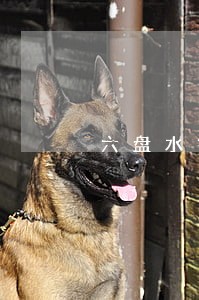 六盘水钟山区干部违法 六盘水钟山区干部违法
