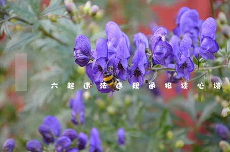 六起违法违规通报谈心谈话记录 六起违法违规通报谈心谈话记录