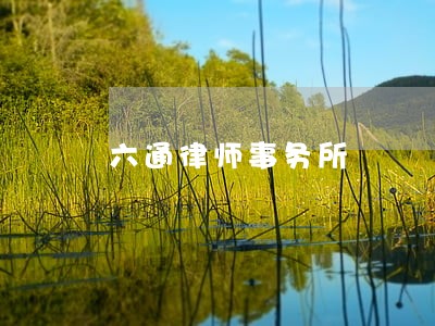 六通律师事务所 六通律师事务所