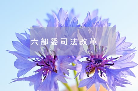 六部委司法改革 六部委司法改革