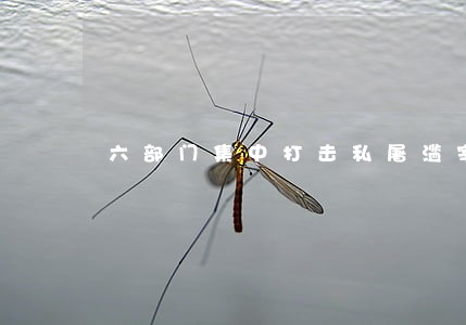 六部门集中打击私屠滥宰违法行为 六部门集中打击私屠滥宰违法行为