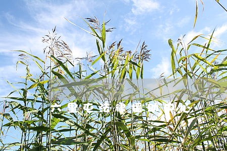 六里屯法律援助中心 六里屯法律援助中心