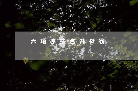 六项违法合并处罚 六项违法合并处罚